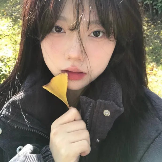 野兔子普查